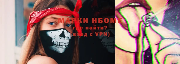 дживик Верхний Тагил
