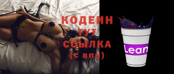 дживик Верхний Тагил