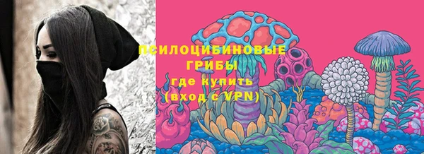 ECSTASY Шали